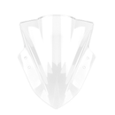 Windshield - Kawasaki NINJA 300 - 2013-2017