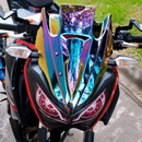 Windshield - Kawasaki Z300 - 2013-2018