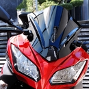 Windshield - Kawasaki NINJA 300 - 2013-2017